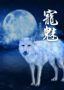 The Charm of Soul Pets – Complete Guide & Review